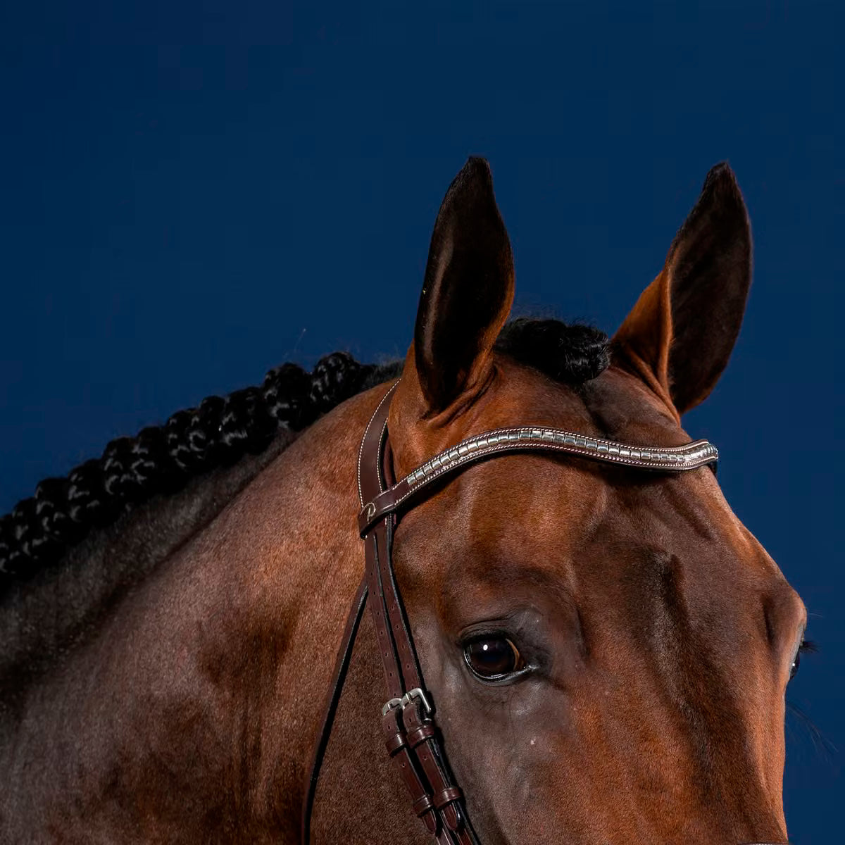 Browband V-Shaped Clincher Silver NE/US Collections
