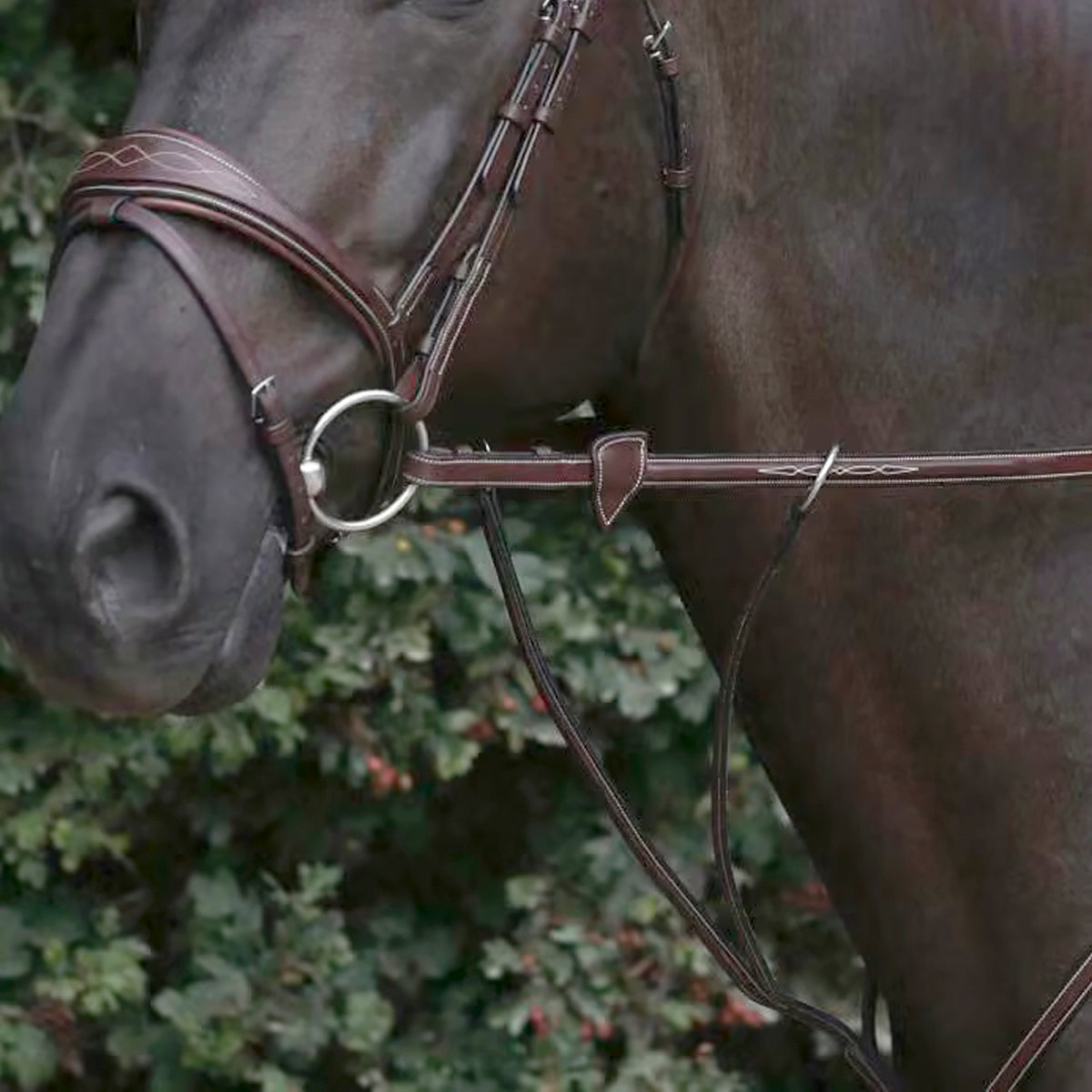 Reins Rubber 1/2" NE/US/D Collections
