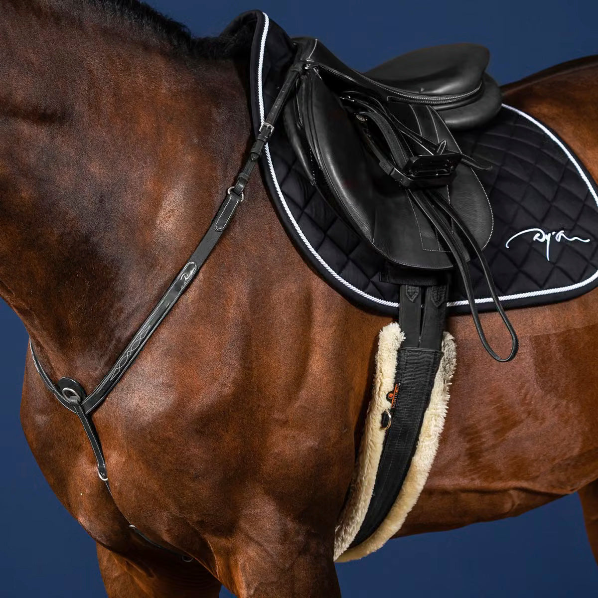 Breastplate Flash NE/US/D Collections