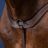 Rintaremmi Anatomic NE/US/D Collections