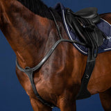 Breastplate Long Bridge NE/US/D Collections