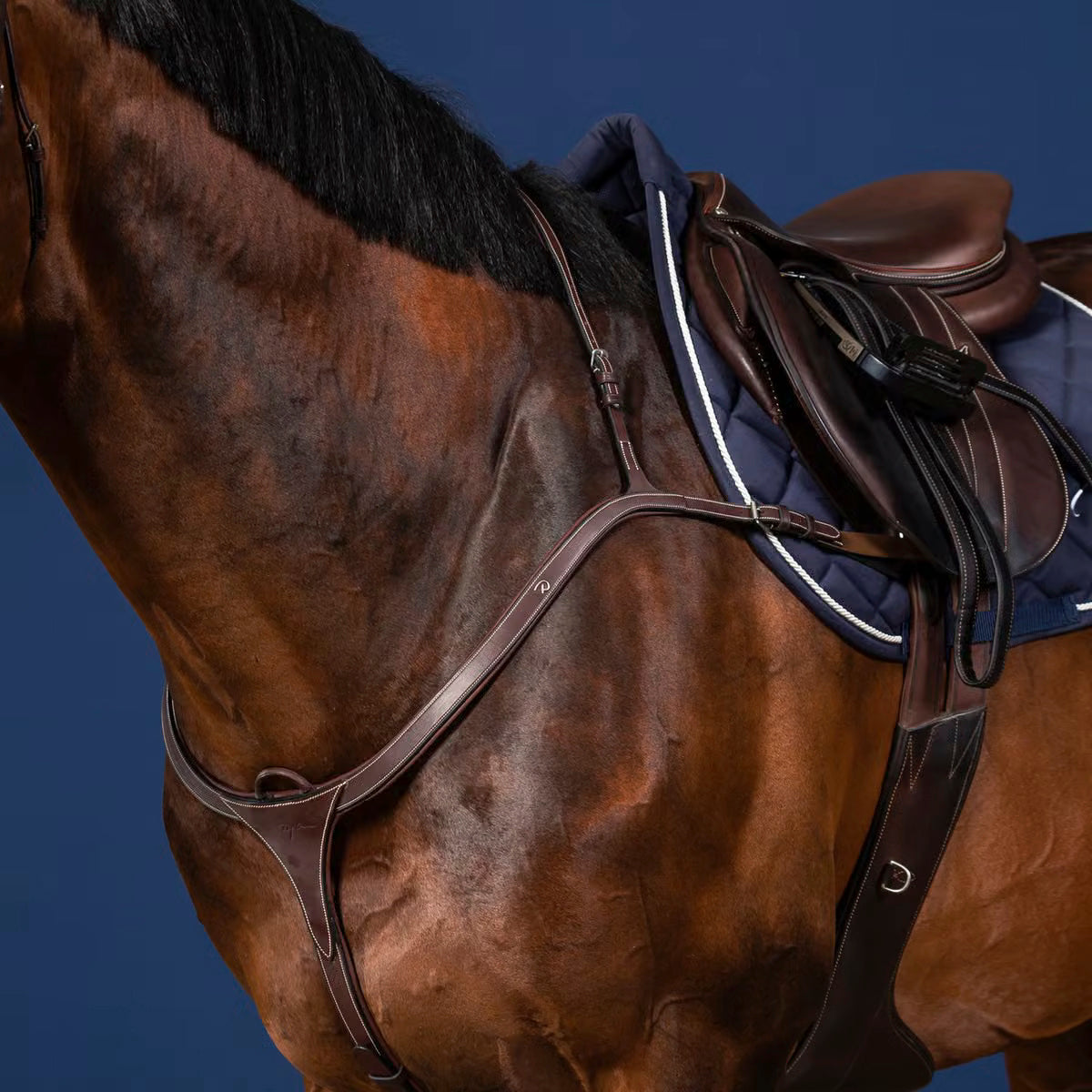 Breastplate Long Bridge NE/US/D Collections