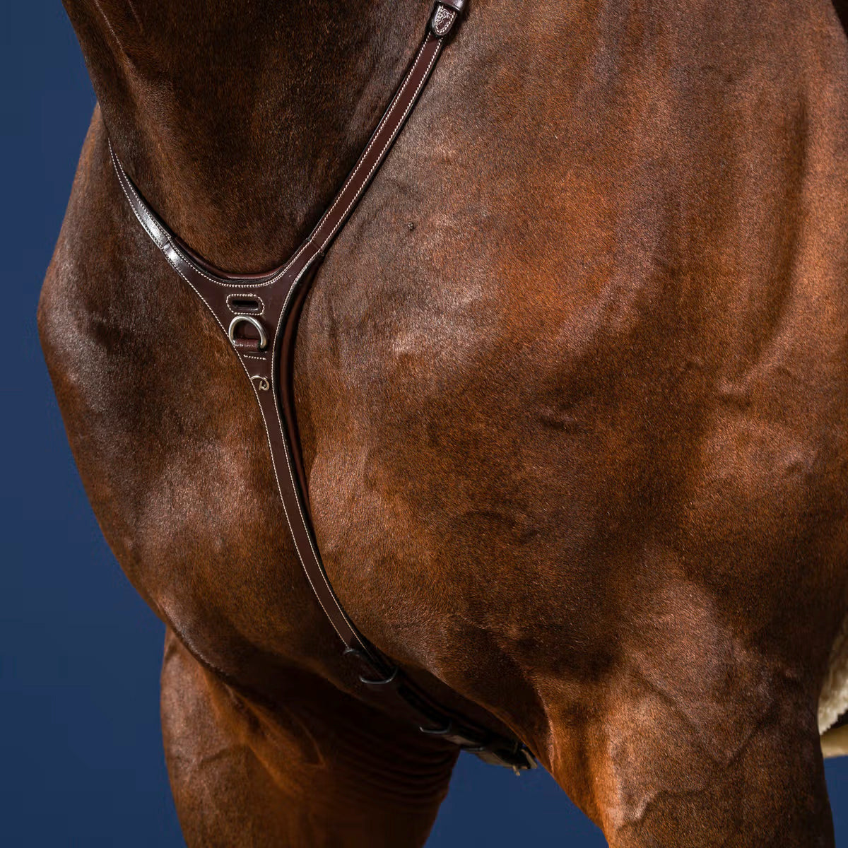 Martingale Yoke NE/US/D Collections