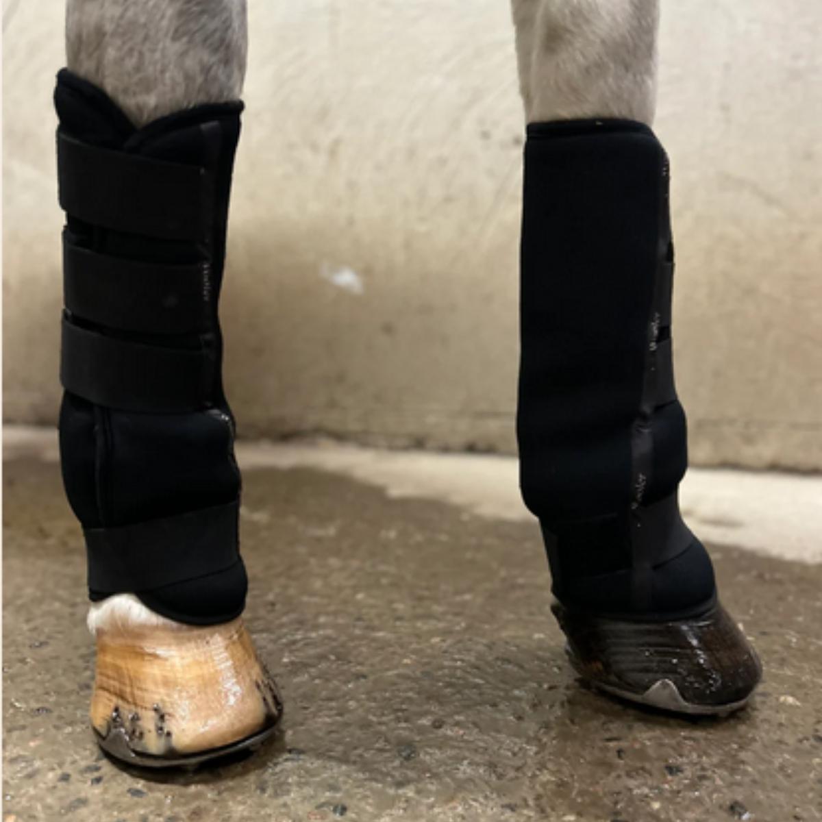 Wooler Stable Boots Short