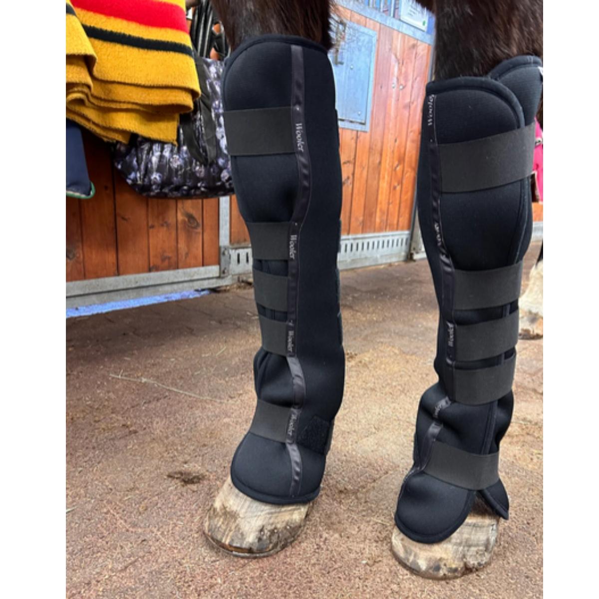 Wooler Stable Boots Long