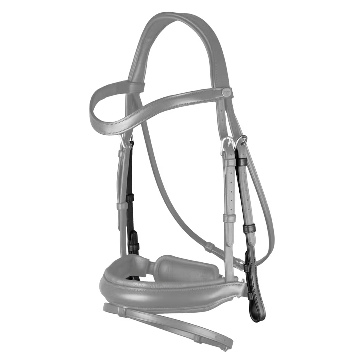 Cheekpieces Dressage Working Collection
