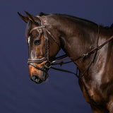Reins Howlett Rubber 1/2" with D-ring + 7 Leather Loops Working Collection