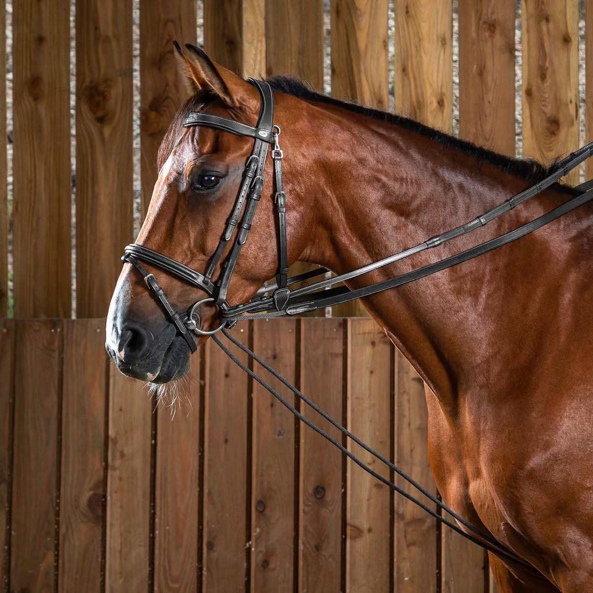 Draw Reins Leather-Nylon 5/8" Working Collection