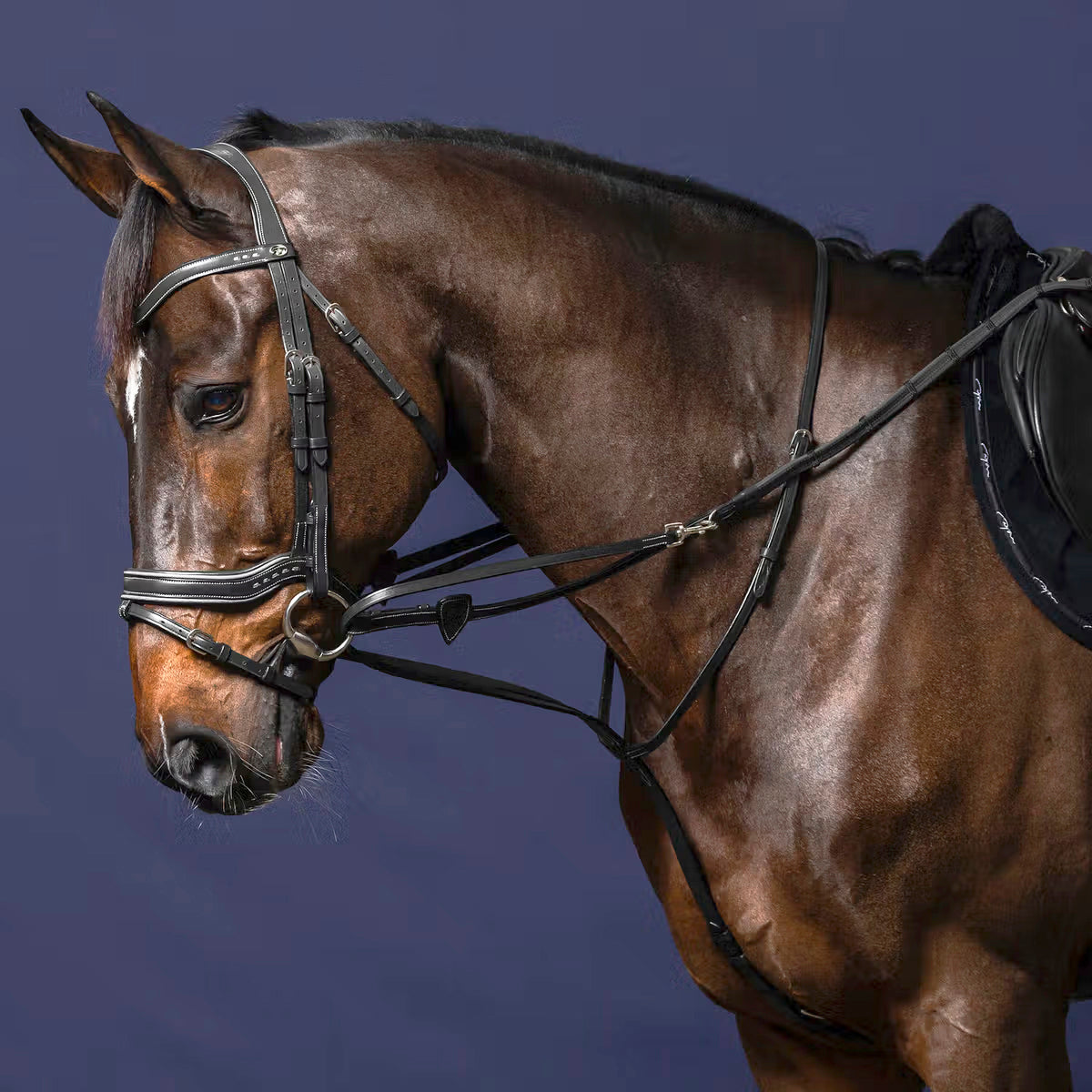 Howlett (Thiedemann) Training System Working Collection