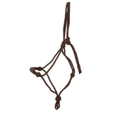 Halter Training Working Collection