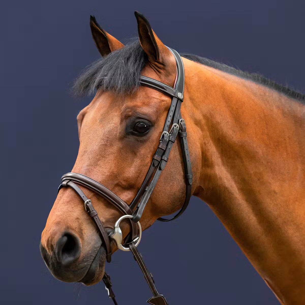 Bridle Classic Flash Noseband Working Collections