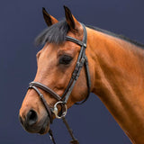 Bridle Classic Flash Noseband Working Collections