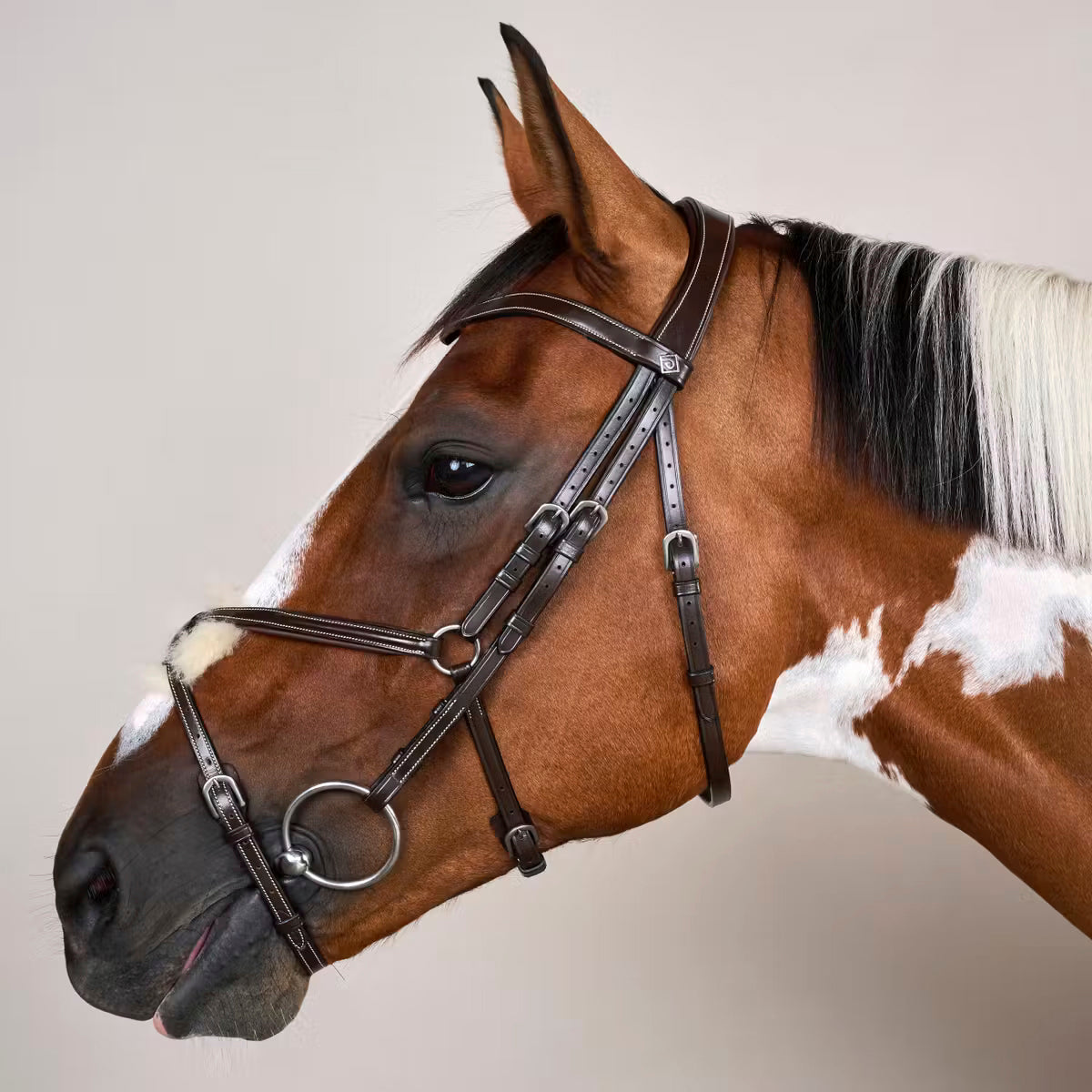 Suitset Figure 8 Noseband Working Collection