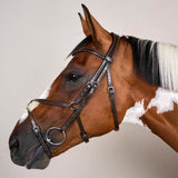 Suitset Figure 8 Noseband Working Collection
