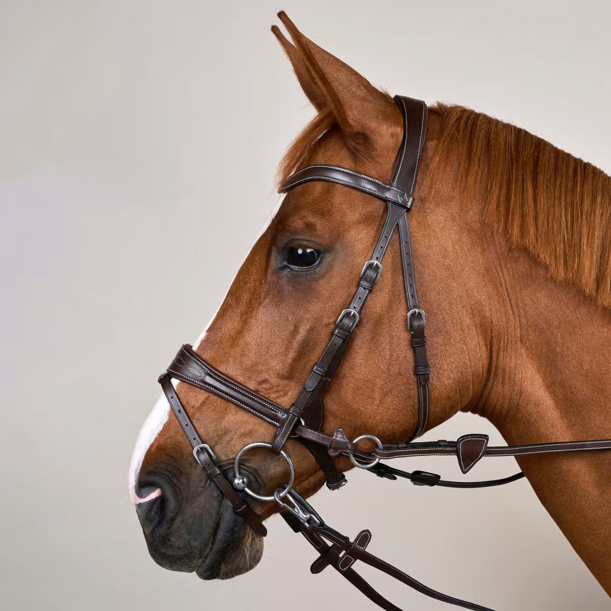 Bridle Motion 3in1 Working Collections