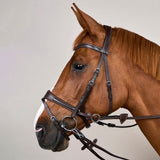 Bridle Motion 3in1 Working Collections