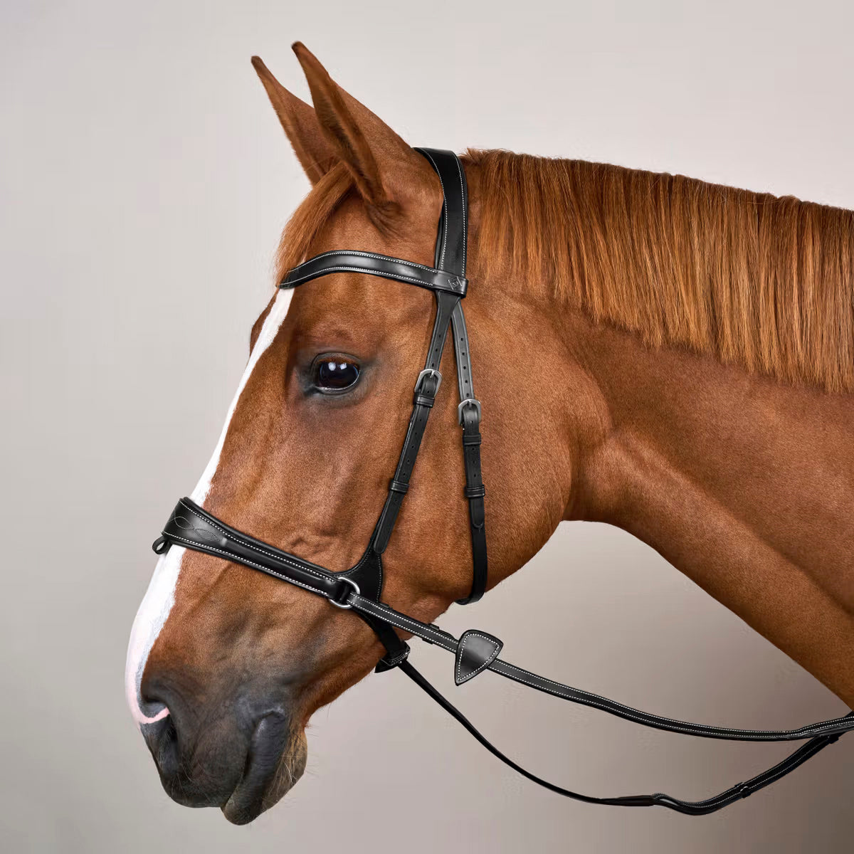 Bridle Motion 3in1 Working Collections