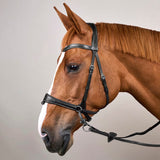 Bridle Motion 3in1 Working Collections