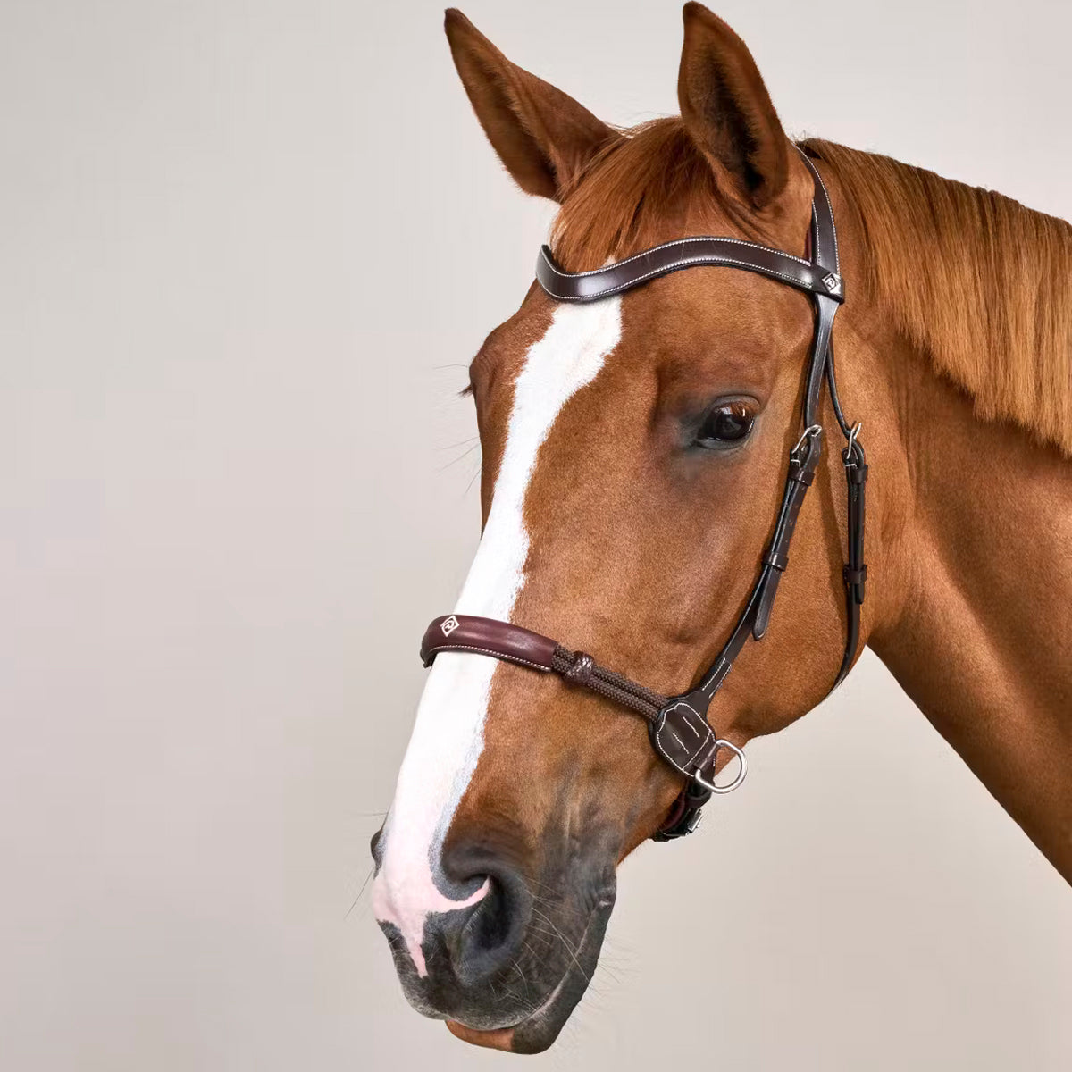 Bitless Bridle Working Collections