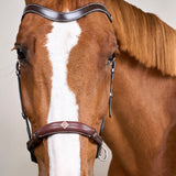 Bitless Bridle Working Collections