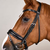 Bridle Matte Large Crank Noseband Working Collections
