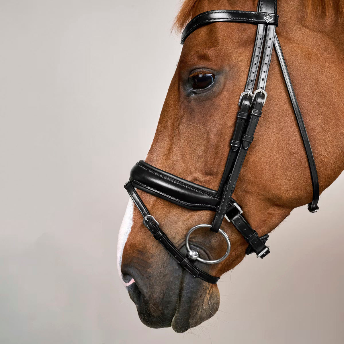 Bridle Matte Large Crank Noseband Working Collections