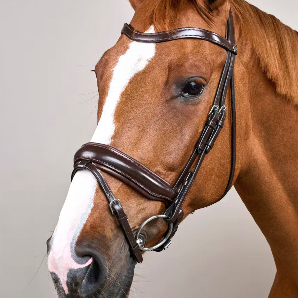 Bridle Matte Large Crank Noseband Working Collections