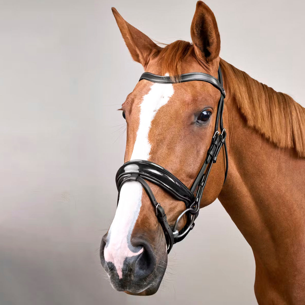 Bridle Patent Large Crank Noseband Working Collections