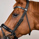 Bridle Patent Large Crank Noseband Working Collections