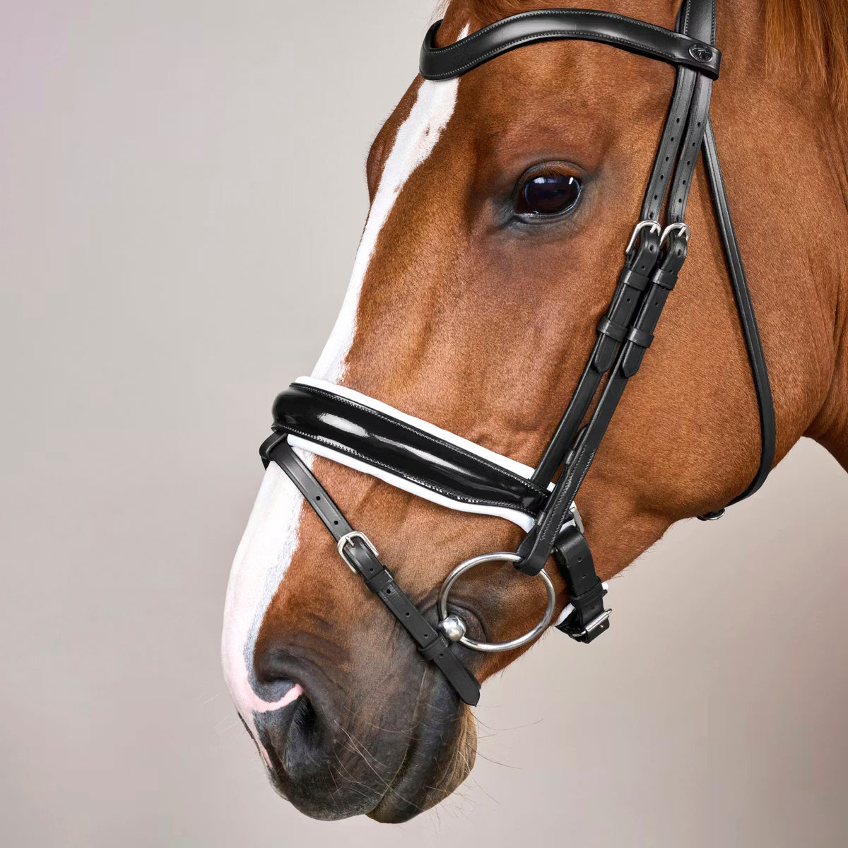 Bridle Patent/White Large Crank Noseband Working Collections