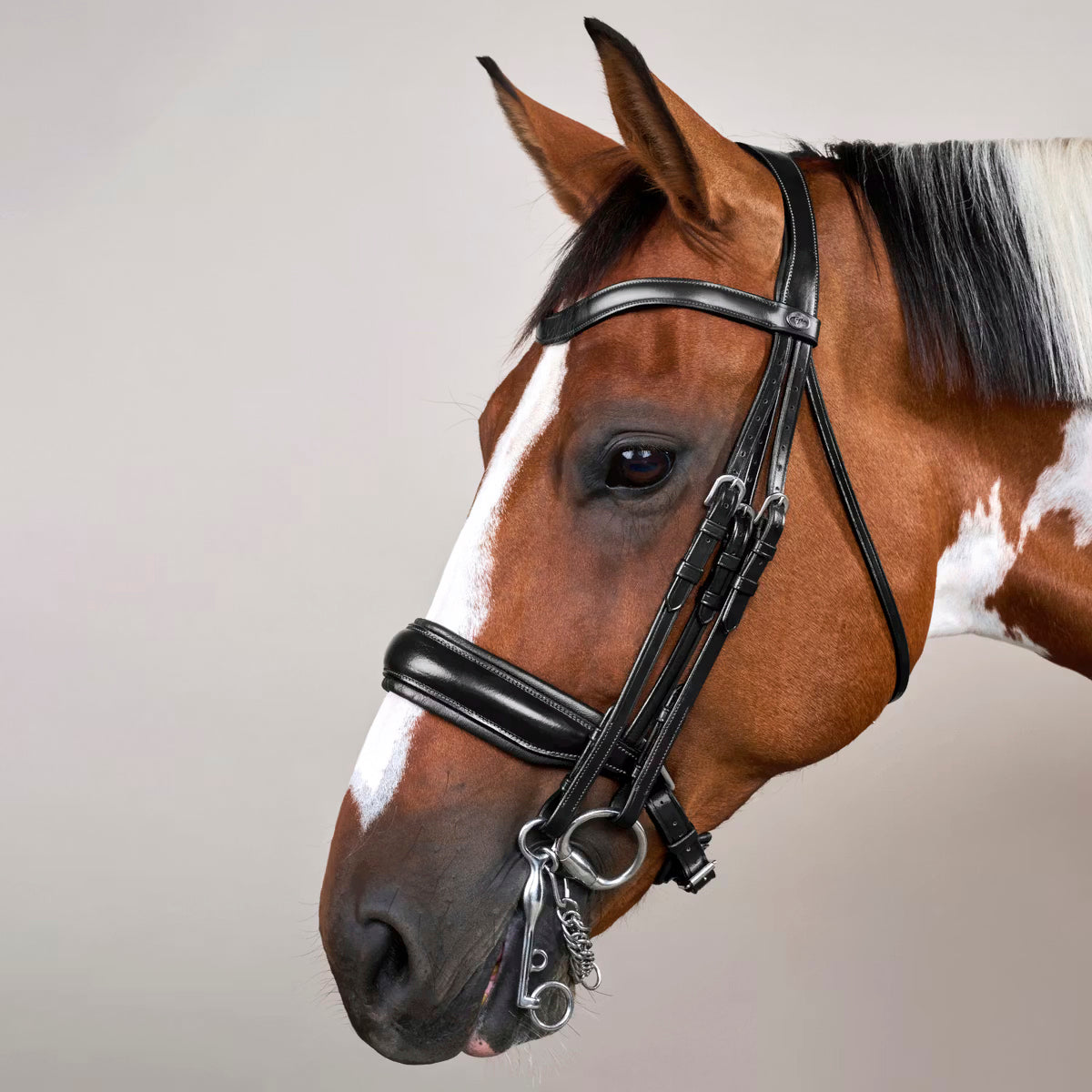 Double Bridle Matte Large Crank Noseband Working Collections