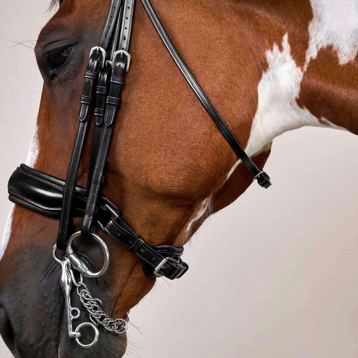 Double Bridle Matte Large Crank Noseband Working Collections