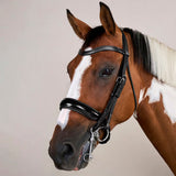 Kankisuitset Patent Large Crank Noseband Working