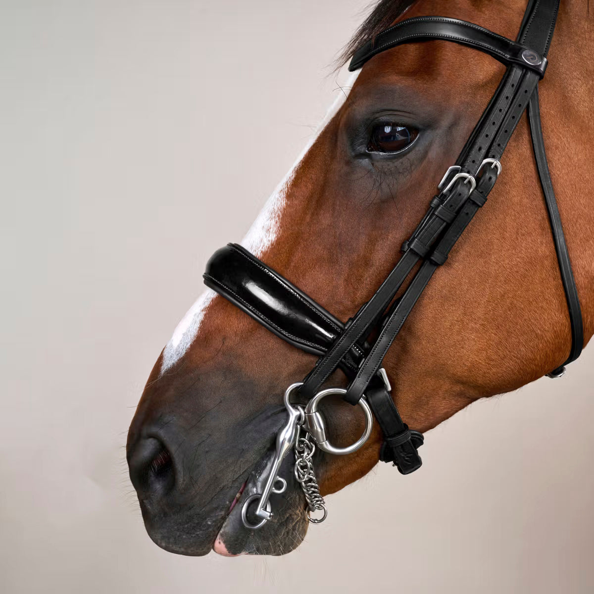 Kankisuitset Patent Large Crank Noseband Working