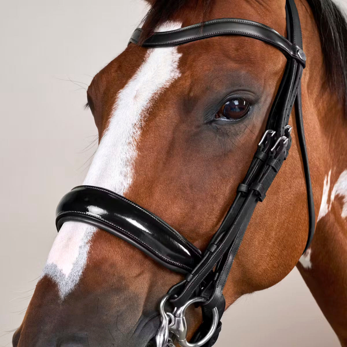 Kankisuitset Patent Large Crank Noseband Working
