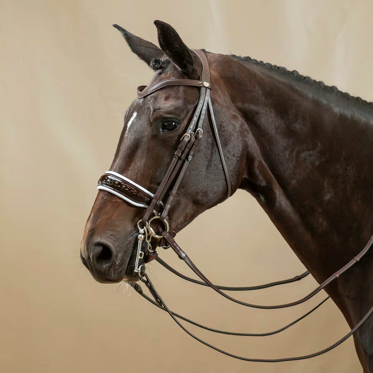 Double Bridle Patent/White Large Crank Noseband Working Collections