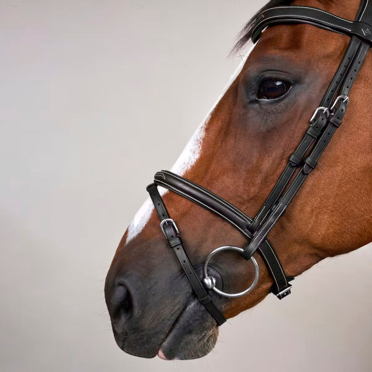 Suitset Fancy Flash Noseband Working Collection