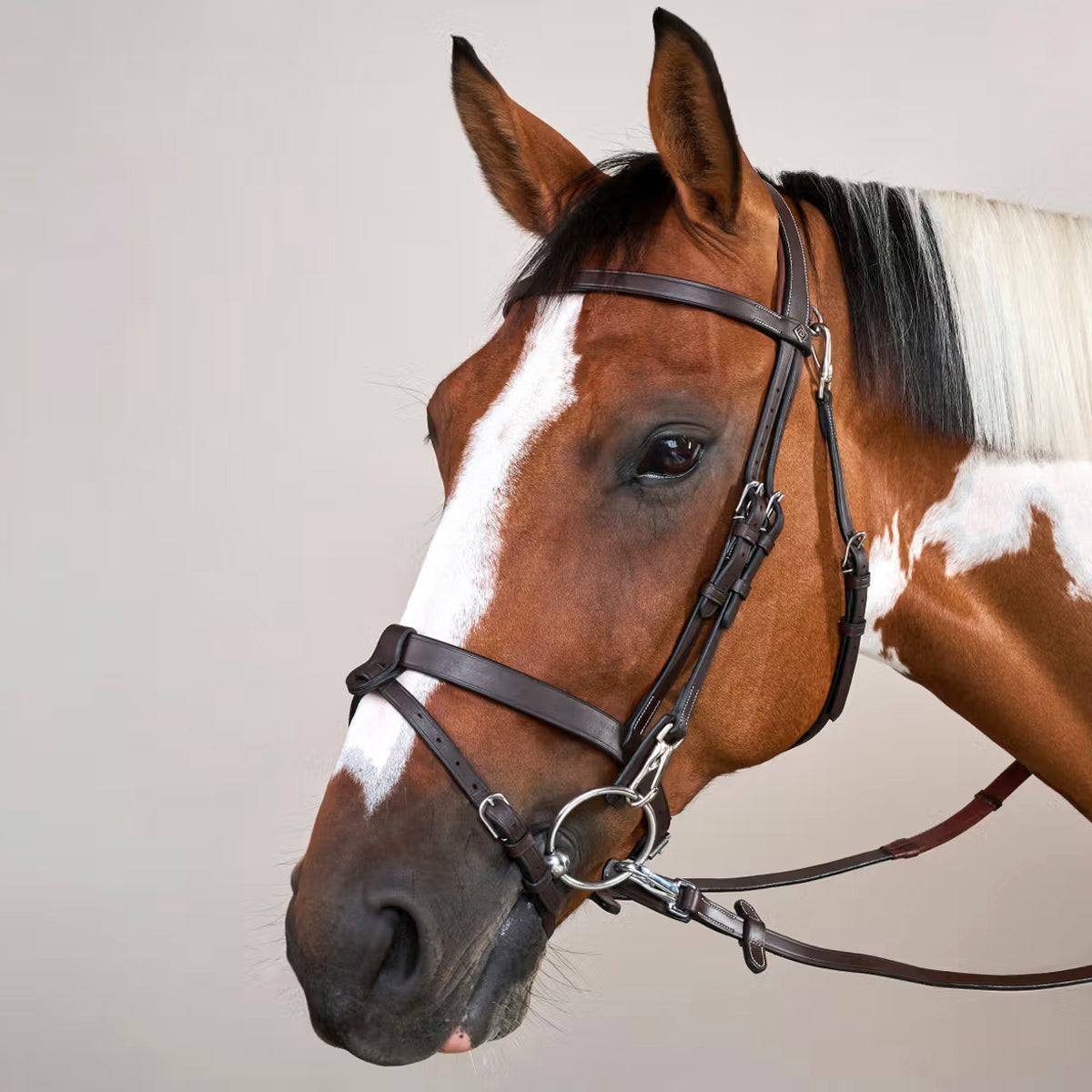 Suitset Flat Flash Noseband Working Collection