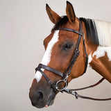 Suitset Flat Flash Noseband Working Collection