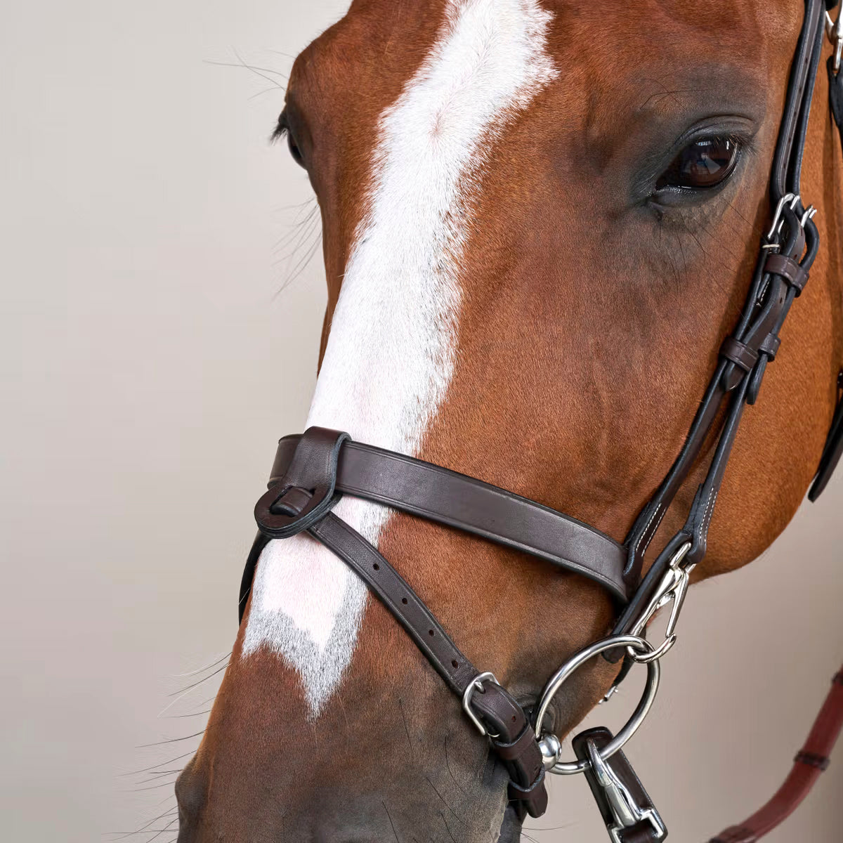 Suitset Flat Flash Noseband Working Collection