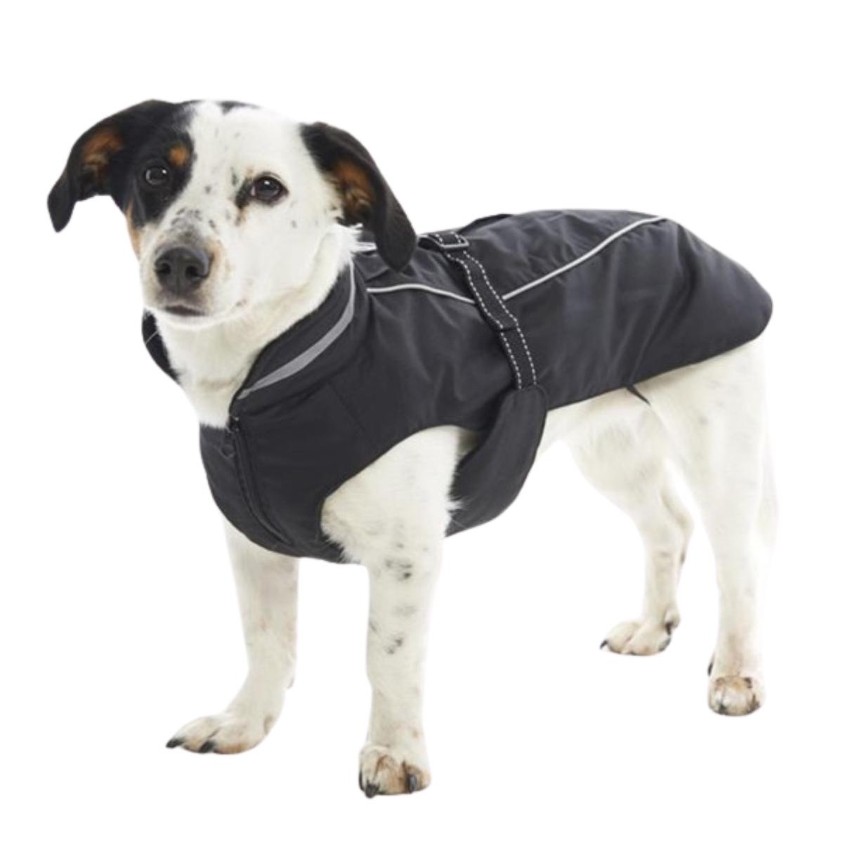 Sademantteli Raincoat