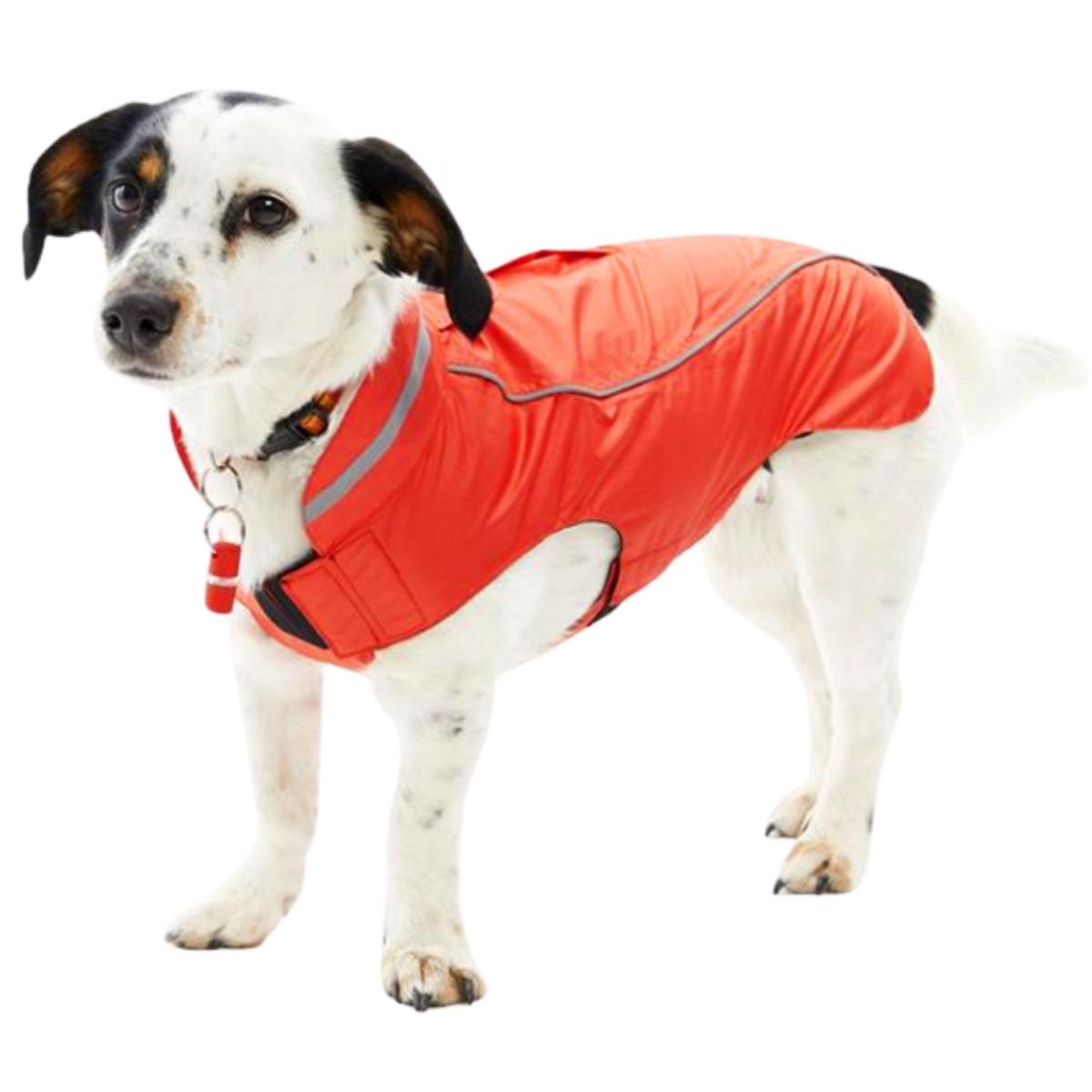 Sademantteli Raincoat