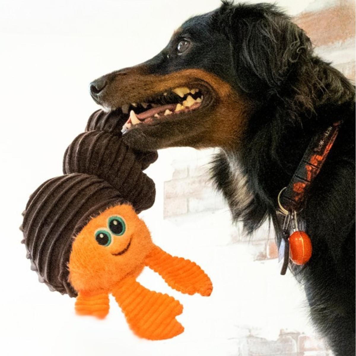 Pehmolelu Cuteseas Rufflez Hermit
