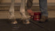 Kaviorasva Hoof Dressing