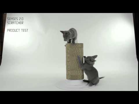 Scratcher Senses 2.0