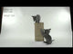 Scratcher Senses 2.0