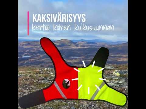 Metästysliivi Ukko