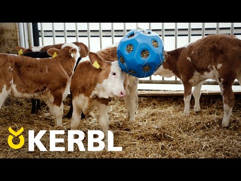 Heinäpallo Feed Ball