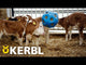 Heinäpallo Feed Ball