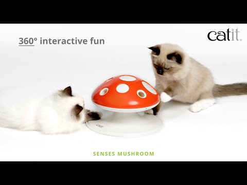 Aktivointilelu Senses 2.0 Mushroom